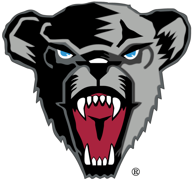 Maine Black Bears 1999-Pres Secondary Logo diy iron on heat transfer